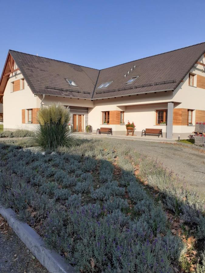 Agroturystyka Aura Kostrzyca Exterior foto