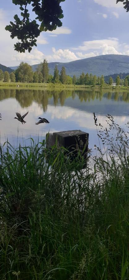 Agroturystyka Aura Kostrzyca Exterior foto