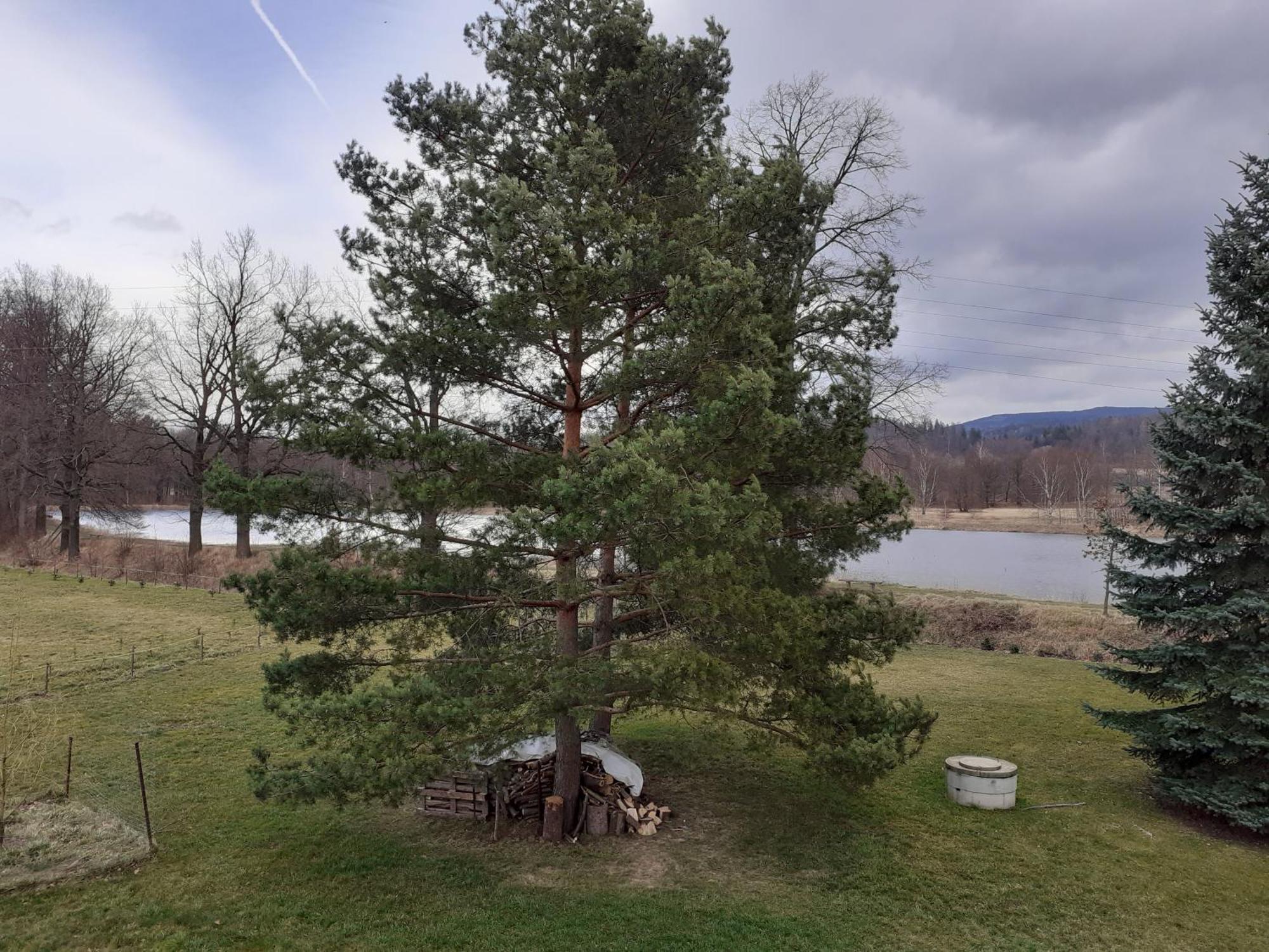 Agroturystyka Aura Kostrzyca Habitación foto